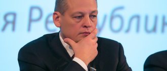 Айрат Хайруллин: «Разгуляй» — это не самый крупный агрохолдинг, который рухнул»