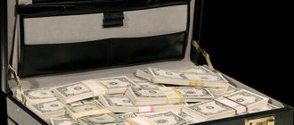 What is portfolio investment?