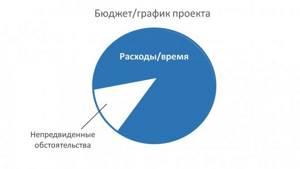 Доля затрат на риски в бюджете проекта