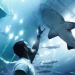 stock market for beginners