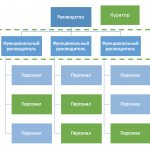 Функциональная структура управления