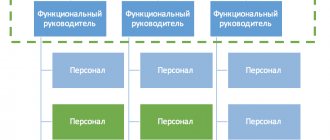 Functional management structure