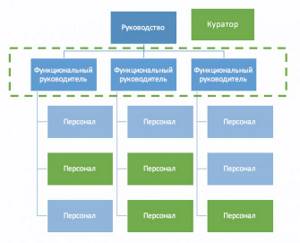 Функциональная структура управления