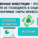 Public investment - what it is, types and forms, features