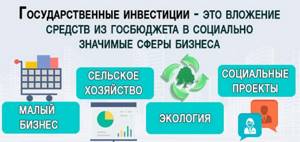 Государственные инвестиции - что это, виды и формы, особенности