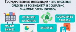 Public investment - what it is, types and forms, features