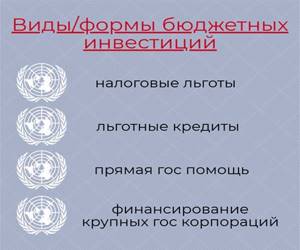 Государственные инвестиции - что это, виды и формы, особенности