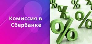 Информация о том, какая комиссия при обмене валюты и других операциях предусмотрена в Сбербанке, представлена в таблице