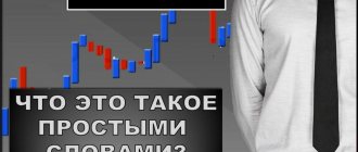 What is IPO in simple words?