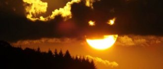 when to look at the data