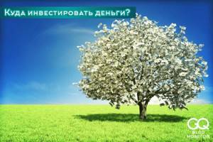 Куда инвестировать деньги