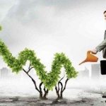 Мужчина поливает саженец