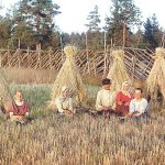 На жнитве. Урал, 1907 г.