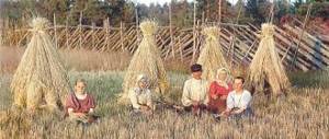 На жнитве. Урал, 1907 г.