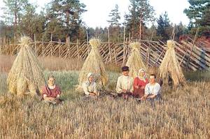 На жнитве. Урал, 1907 г.