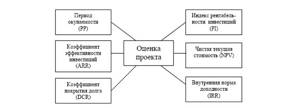 Оценка эффективности инновационного проекта