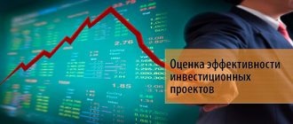 Оценка эффективности инвестиционных проектов