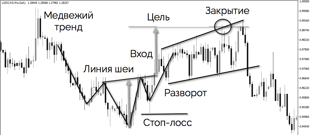 перевернутая фигура голова и плечи
