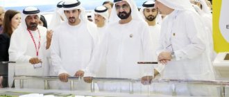 Привлечение иностранных инвесторов в Россию