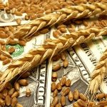 Пшеница и доллары