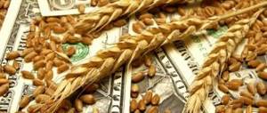 Wheat and dollars