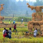 Секреты стохастика