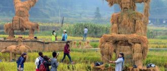 Secrets of Stochastic