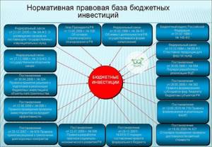 Виды бюджетных инвестиций