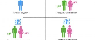 Виды личного и семейного бюджета