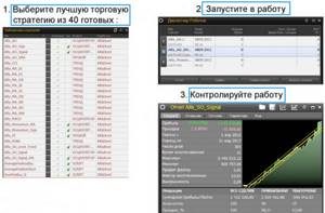 Запуск в работу специального бота